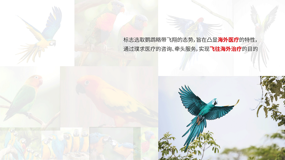 醫(yī)療咨詢品牌形象設(shè)計-璞求醫(yī)療LOGO升級