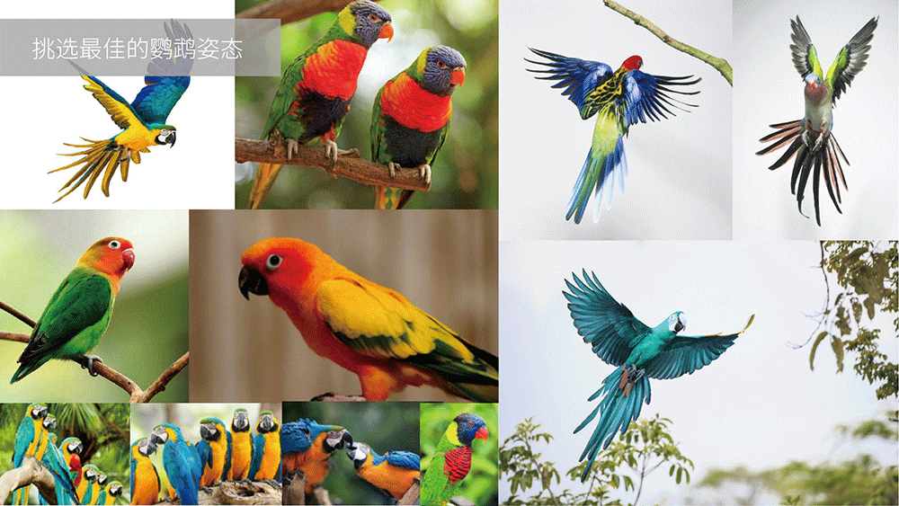 醫(yī)療咨詢品牌形象設(shè)計-璞求醫(yī)療LOGO升級